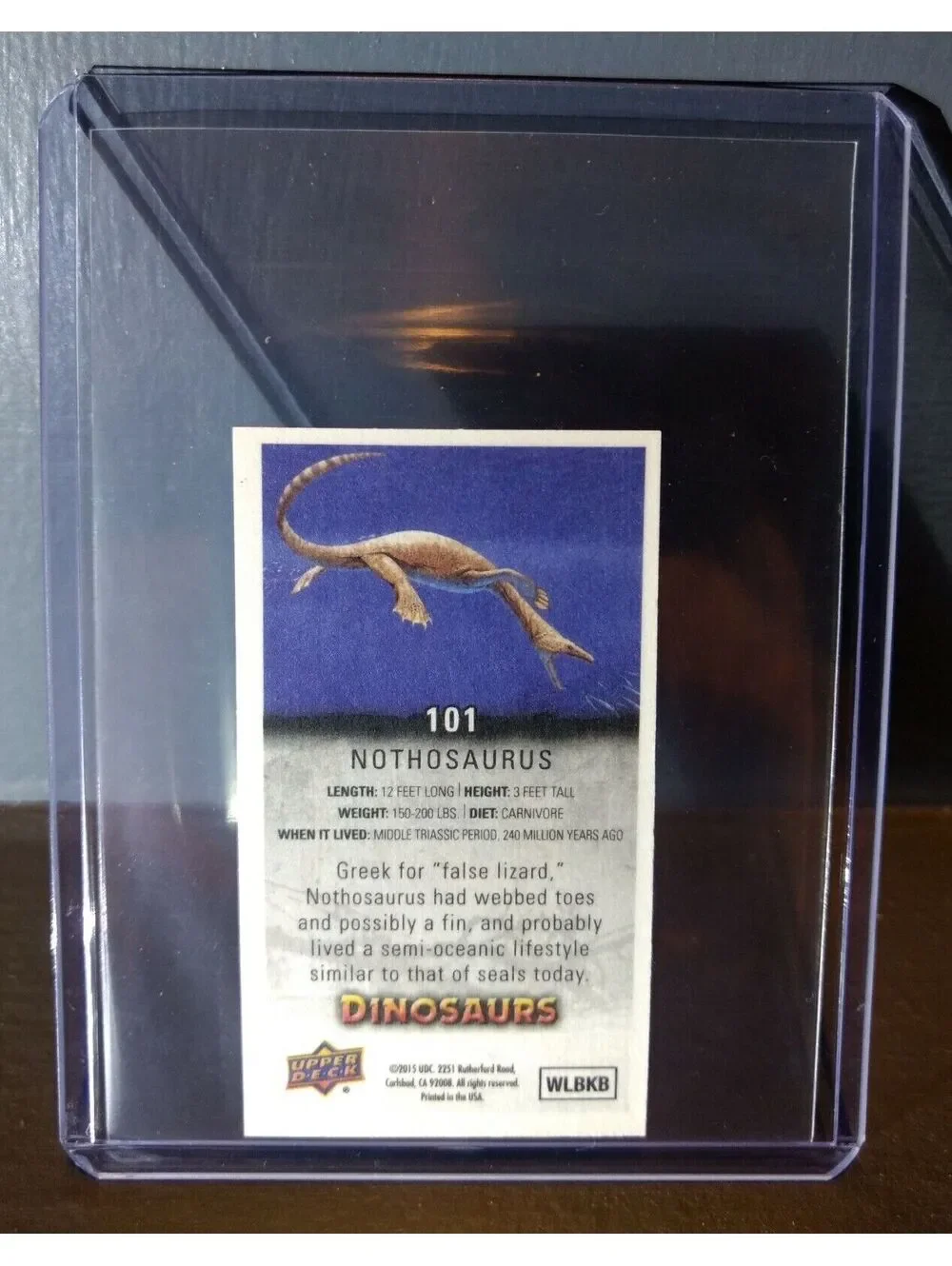 2015 Upper Deck Dinosaurs Canvas Mini Nothosaurus #101 Trading Card